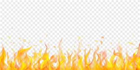 Burning fire flame on a white background Vector Image