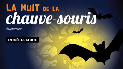 Nuit De La Chauve Souris Grandorb Fr