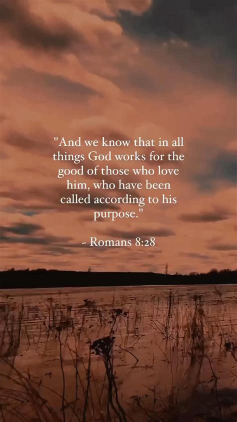 Bible Quotes That Remind Us Of God S Unconditional Love Bible Quotes