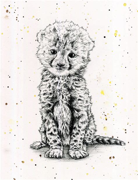 How To Draw A Cheetah Cub