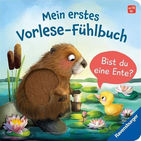 Mein Erstes Vorlese F Hlbuch Bist Du Eine Ente Kathrin Lena Orso