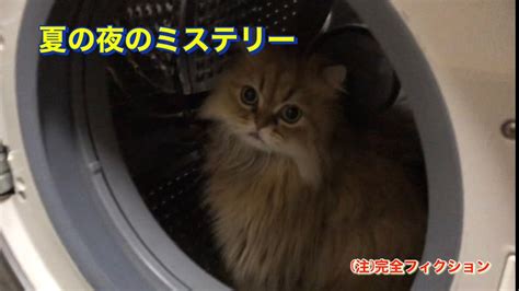 本当になかった猫の怖い話は Youtube