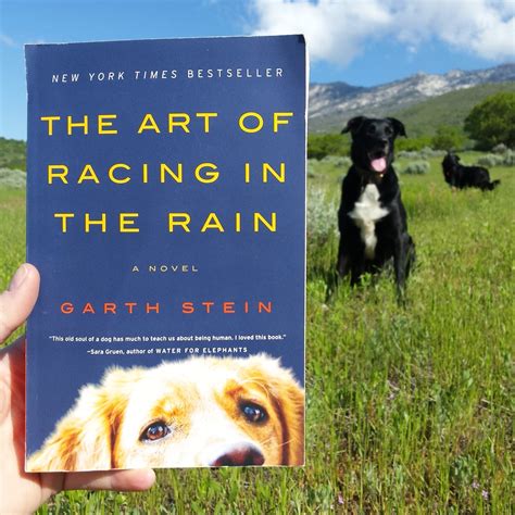 J R L i n d z : Book Review: The Art of Racing in the Rain by Garth Stein