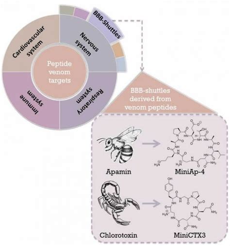 Scorpion Venom to Shuttle Drugs Into the Brain - Neuroscience News