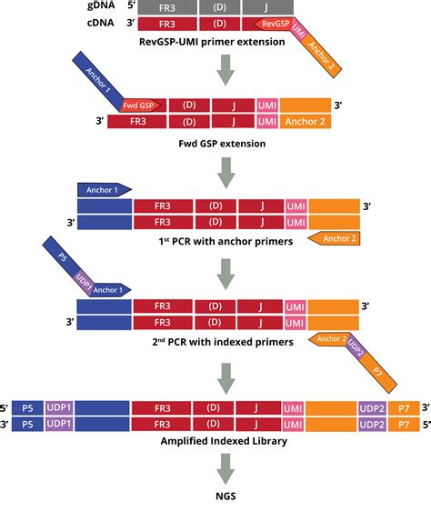 DriverMap AIR DNA Profiling Assay DriverMap AIR TCR BCR Profiling