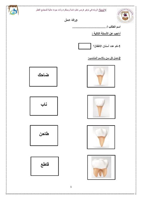 اشكال الأسنان Worksheet Live Worksheets