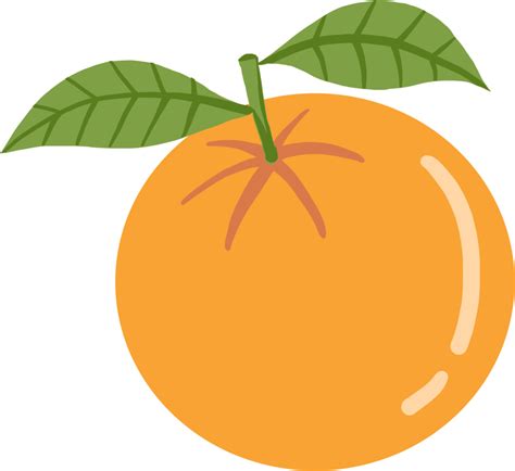 Doodle Dibujo A Mano Alzada De Fruta Naranja Png