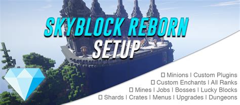 Skyblock Reborn - Premiere Setups