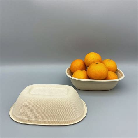 Eco Friendly Disposable Food Container Ml Biodegradable Bagasse Bowl