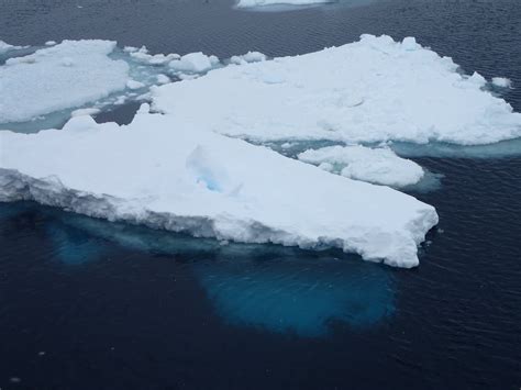 Weddell Sea – Antarctica