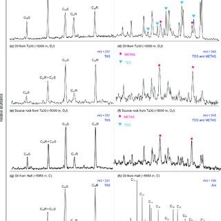 Representative Mass Chromatograms Of M Z 231 245 And 134 For Oil Oil