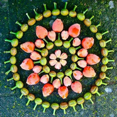 Цветочные мандалы Кэти Клейн