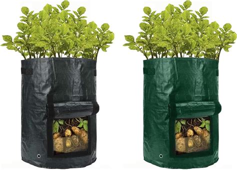 Amazon Xpapov Pack Gallon Grow Bags With Window To Harvest