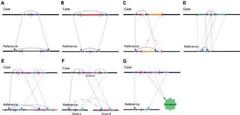 Configurations Of PEMs In Various Types Of SVs A Deletion The