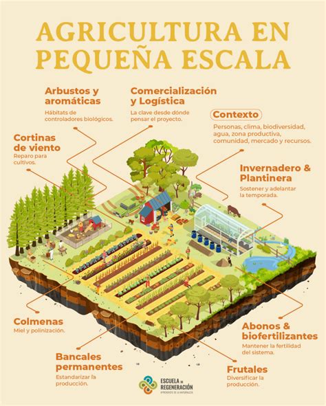 Agricultura Regenerativa en Pequeña Escala Escuela de Regeneracion