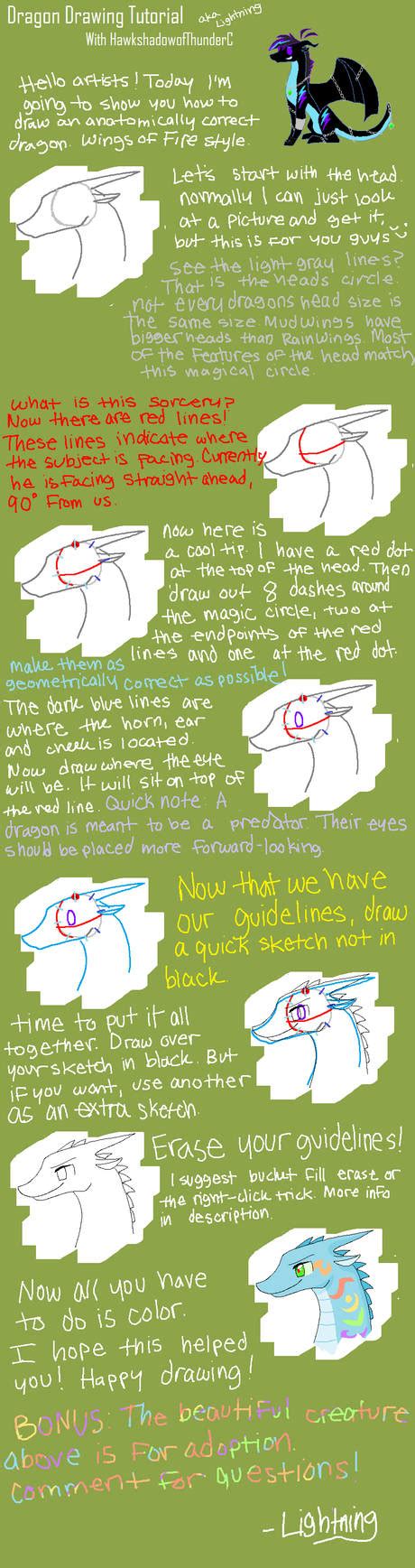 Dragon Drawing Tutorial by stArchaeopteryx on DeviantArt