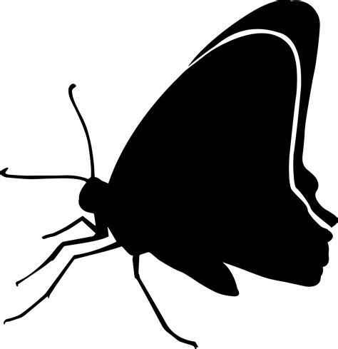 Butterfly Silhouette Graphic By Aparnastjp Creative Fabrica