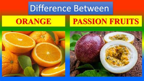 Differences Between Medical And Health Benefits Of Orange Fruit And