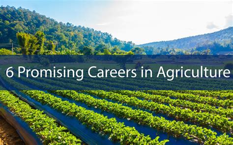 6 Promising Careers In Agriculture - CKAB