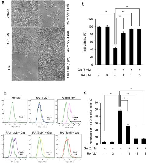 representative   cells  cell viability   intracellular