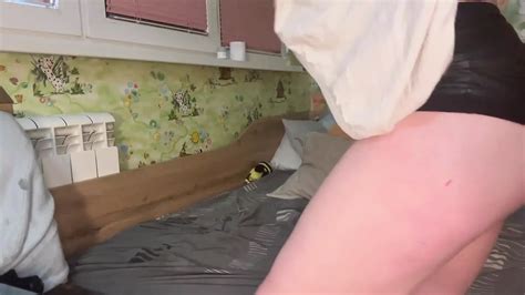 Free Clean Pussy Porn Videos Xhamster