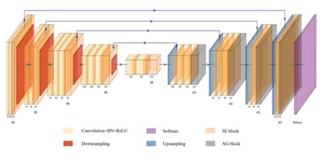 深度学习论文笔记 3D AGSE VNet An Automatic Brain Tumor MRI Data Segmentation