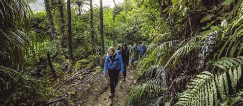 Walking and hiking in New Zealand | 100% Pure New Zealand