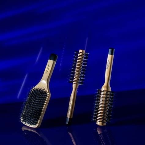 HAIRSHOP lu shoplocal Hair Rituel by Sisley Brosse à Brushing N