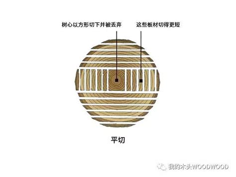 弦切、平切、径切傻傻分不清楚?——木材开料的基础知识 搜狐大视野 搜狐新闻 弦切、平切、径切傻傻分不清楚?——木材开料的基础知识 搜狐大视野 搜狐新闻