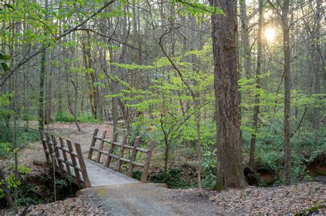 How a North Carolina Community Managed to Build High Quality MTB Trails ...