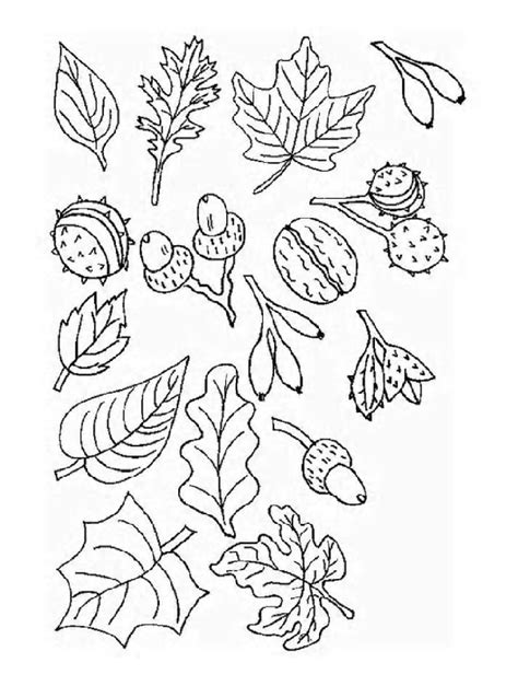 Tree Leaves Coloring Pages Free Printable Templates