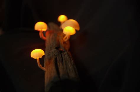 Mushroom Lamp Glowing Lamp Mushroom Night Light Mushroom Etsy