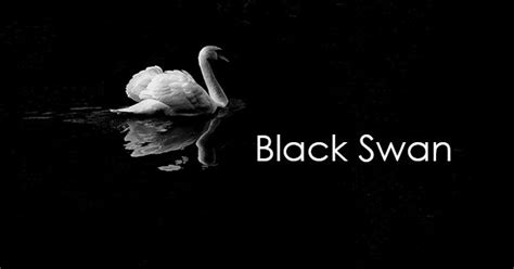 Black Swan by Luke McMillan - Grade 2 Marching Show