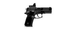 RG15 - Liquipedia Rainbow Six Wiki