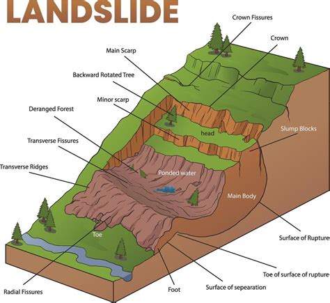 cross section illustration of landslide diagram 42674019 Vector Art at ...