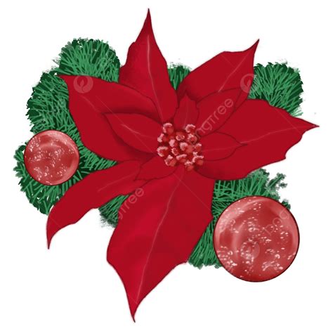 Christmas Poinsettia Red Flower Poinsettia Christmas Flowers Png