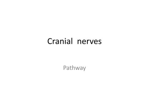 Cranial Nerves Pathways Pdf With Everything Explained Ppt