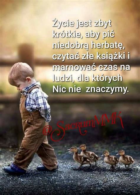 Cytaty O życiu Krótkie