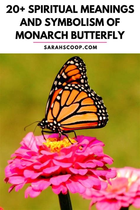 20+ Spiritual Meanings And Symbolism Of Monarch Butterfly