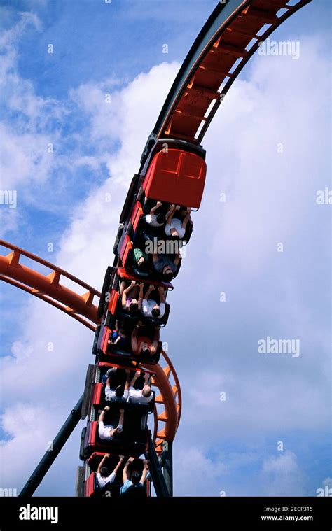 Roller Coaster, Busch Gardens, Tampa, Florida, USA Stock Photo - Alamy