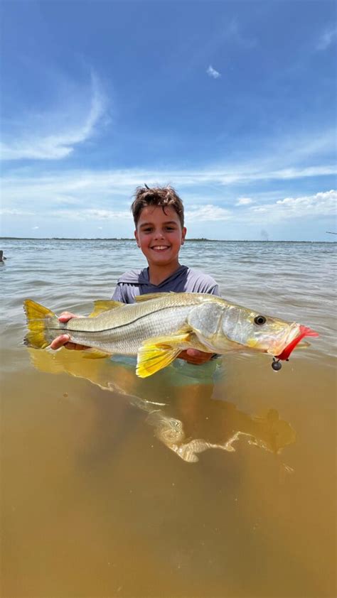 Brasileiro Absoluto Masculino Junior Robalo Flecha Bgfa Recordes