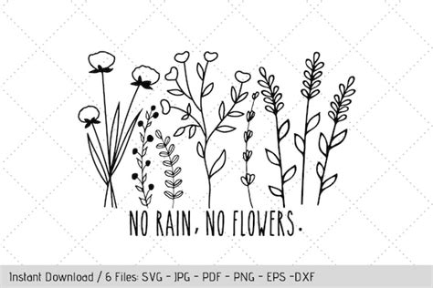 Wildflower Svg No Rain No Flowers Graphic Design Witchcraft Witchy By