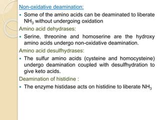 Amino acid metabolism | PPT