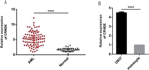 Figure From High Expression Of Lnc Crnde Presents As A Biomarker For