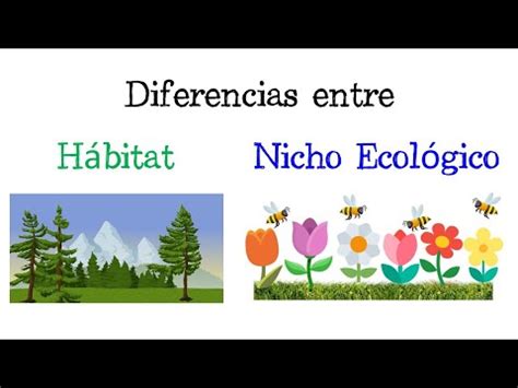 Descubriendo las diferencias clave entre hábitat y nicho ecológico una