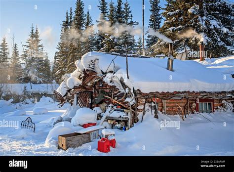 Cozy old log cabin in winter, Wiseman, Brooks Range, Alaska, USA Stock Photo - Alamy