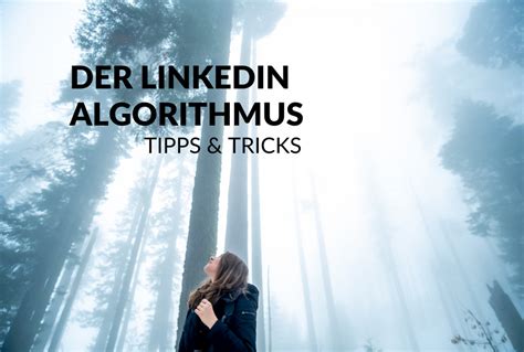 Der Linkedin Algorithmus Tipps F R Mehr Sichtbarkeit Und Reichweite