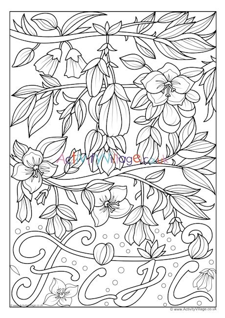 Fiji National Flower Colouring Page