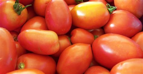 A Handmade Life: Preserving Tomato Passata