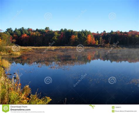 Autumn lake reflection stock image. Image of november - 1366611